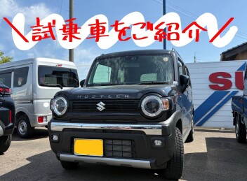 ＼　試乗車あります！ぜひ一度乗ってみてください！！　／