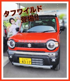 ハスラータフワイルドここにあります