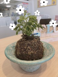 新しい仲間が増えました♪