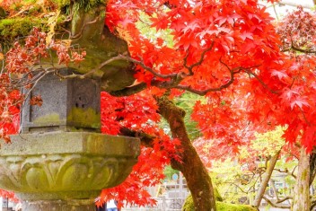 大迫力！竜頭の滝