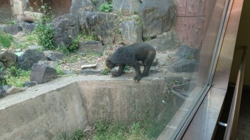 ☆東山動物園に行ってきました☆　夏の思い出