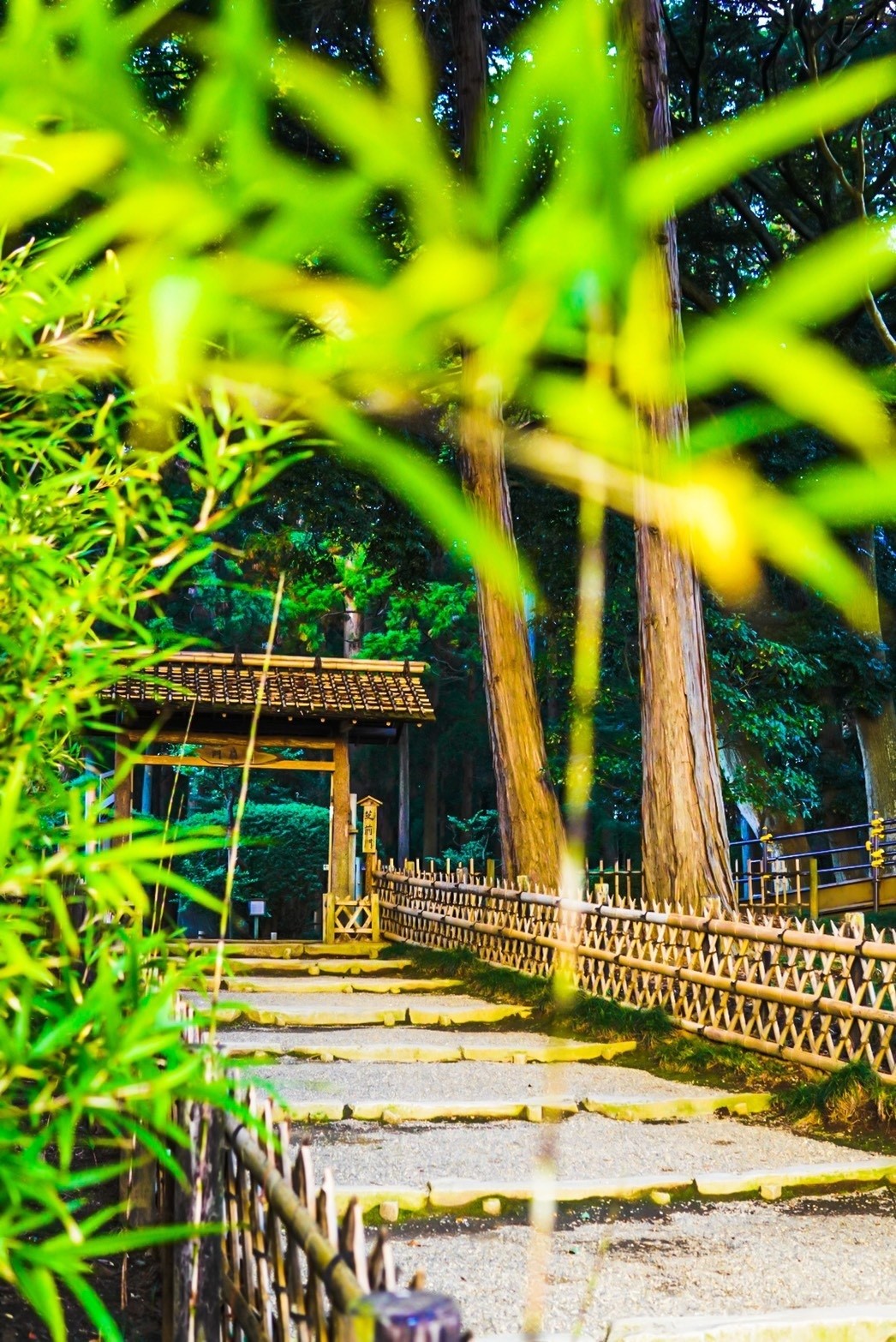 偕楽園