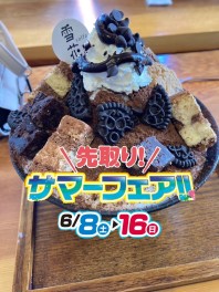 先取り！サマーフェア！
