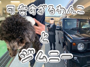 かわいいワンちゃんとジムニー★