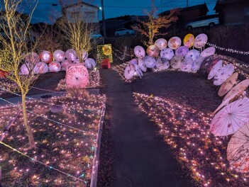 亀岡の冬は夢ナリエ