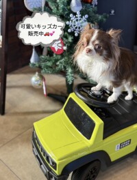《キッズカー》販売中です☆