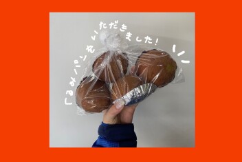 素敵な差し入れを頂きました！