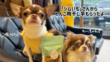 【ジムいも】さんから嬉しい差し入れ頂きました～！！
