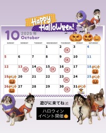 １０月のお休みのお知らせです！！