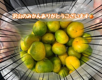沢山のみかん頂きました～！