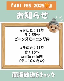 11月1日は、是非南海放送をご覧ください!!