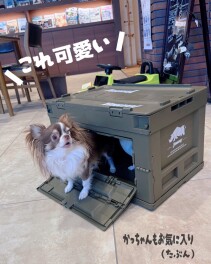 グッズ販売中です！！