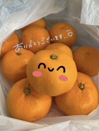沢山のみかんありがとうございます！！