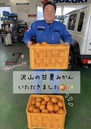 沢山の甘夏みかんいただきました～！