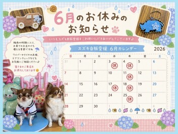 6月の定休日のお知らせです！