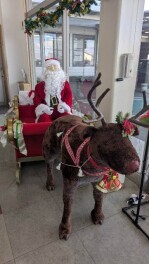 クリスマスの飾りつけ