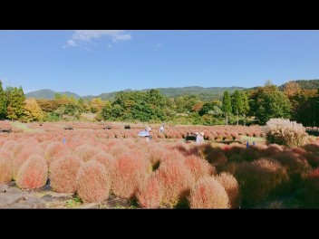 今週末も展示会・試乗会開催！！！