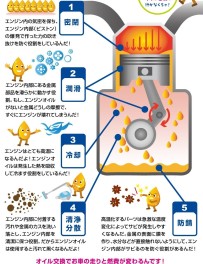 意外と知らない大事な話