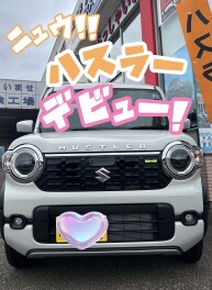 新型ハスラー登場！