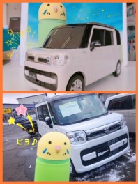 癒しキャラ登場！？