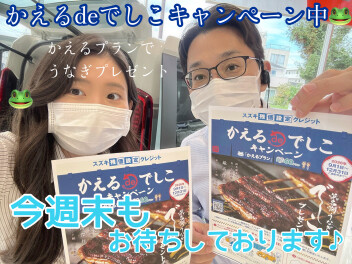 かえるdeでしこ！？