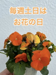 毎週土日はお花の日！！