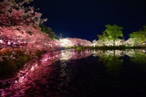 公園夜ライトアップ