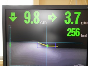 DSCN0114