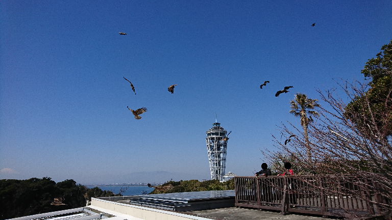 江の島