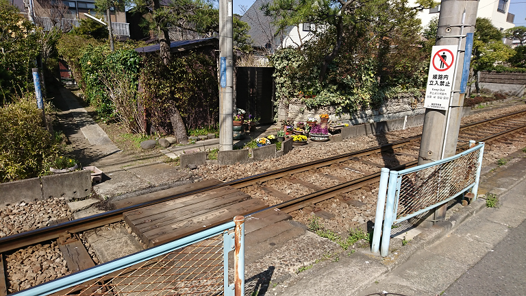 鎌倉5