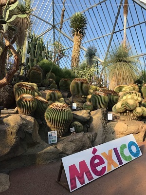 MEXSYABO
