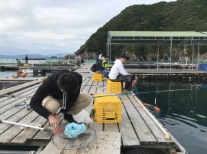 釣ってる最中