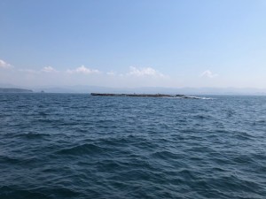 中の島