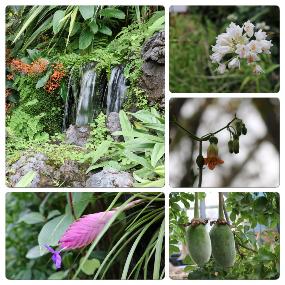 京都府立植物園４