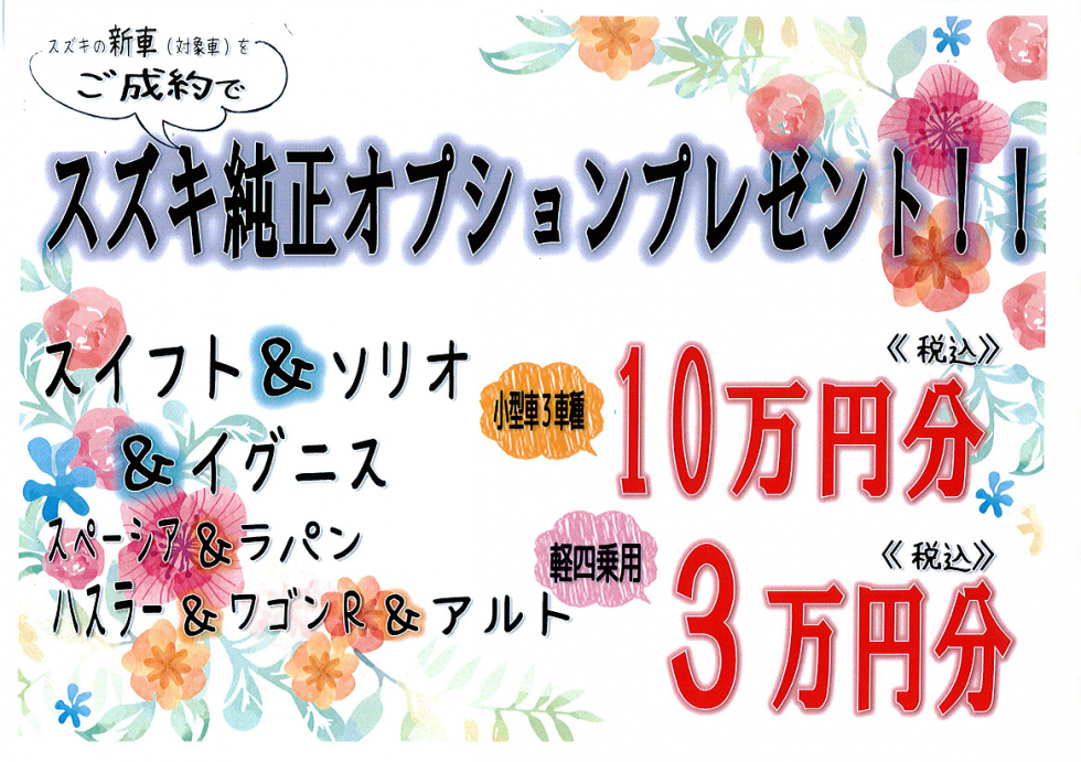 H30.5月オプションプレゼント