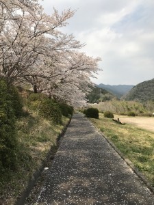 IMG_4871