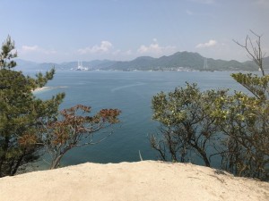 IMG_0262