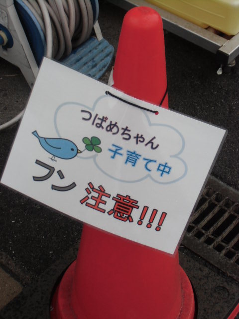 CIMG7709