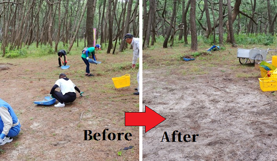 before→After