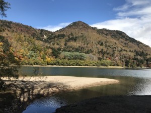 IMG_1597