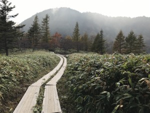 IMG_1621