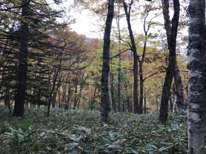 IMG_1626