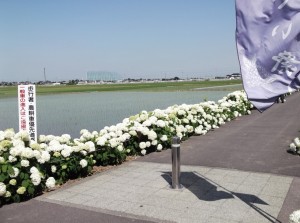 DSCF0856