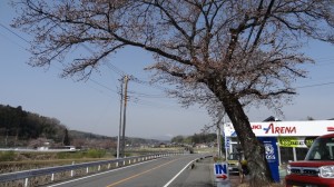 DSC09042