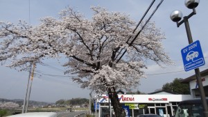 DSC09104