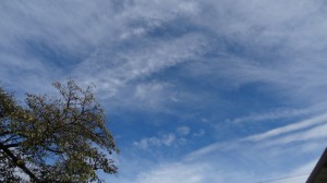 DSC09509