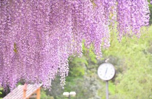 写真2