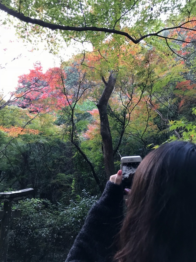 紅葉