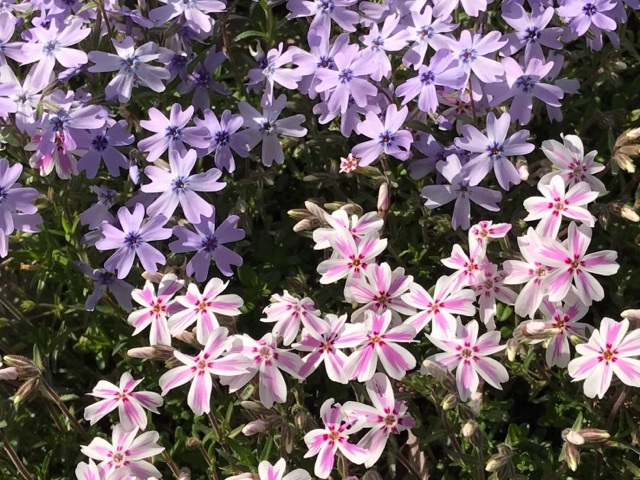 3月30日2