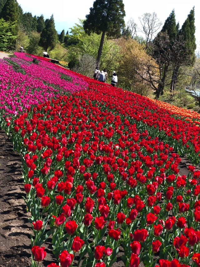 4月20日3